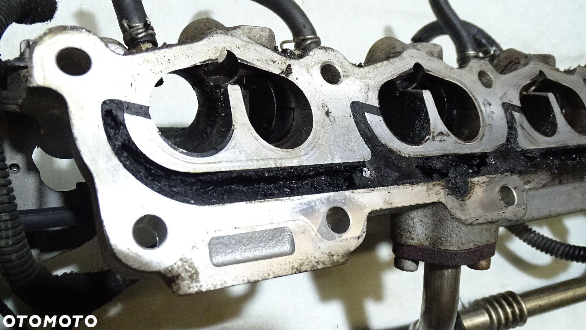 KOLEKTOR SSĄCY LPG OPEL ASTRA 1.6 24431920 - 2