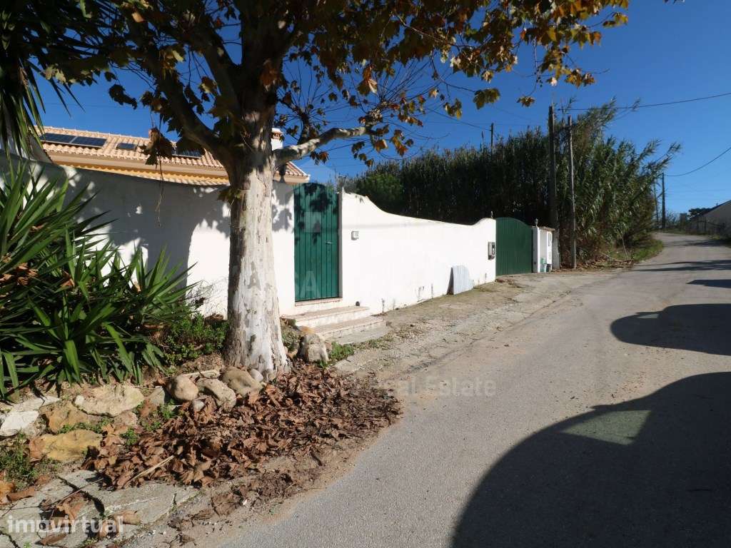 Vende Quinta, Ericeira 9 Km, A Casa das Casas - Grande imagem: 2/60