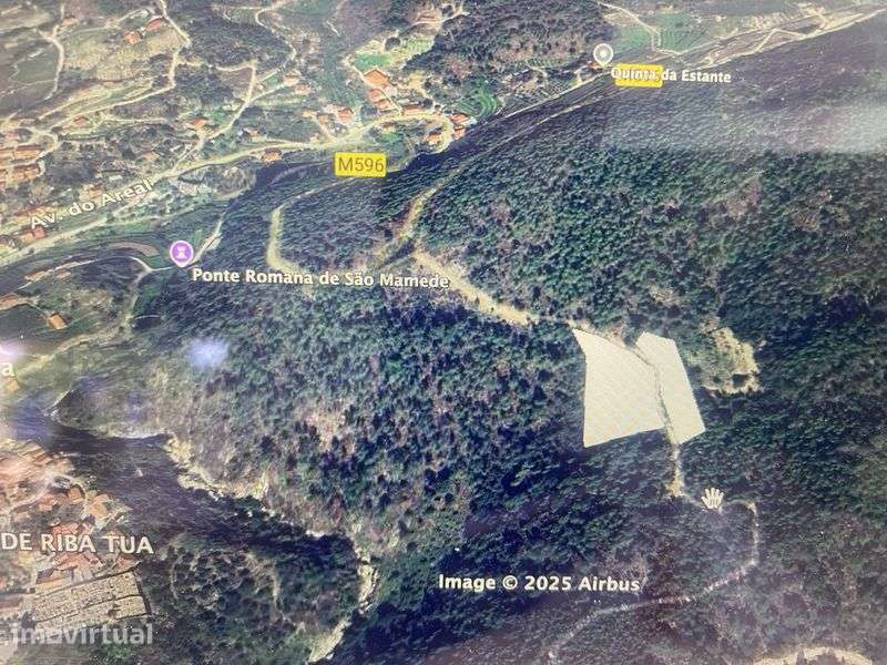 Terreno Rustico com Oliveiras e Ruina 6000m2 - Grande imagem: 3/3
