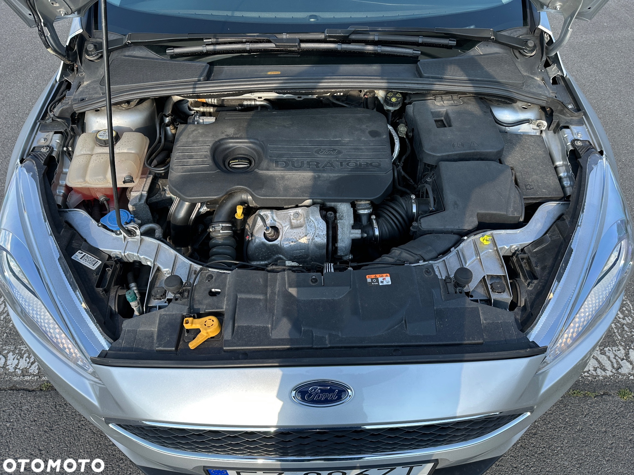 Ford Focus - 18