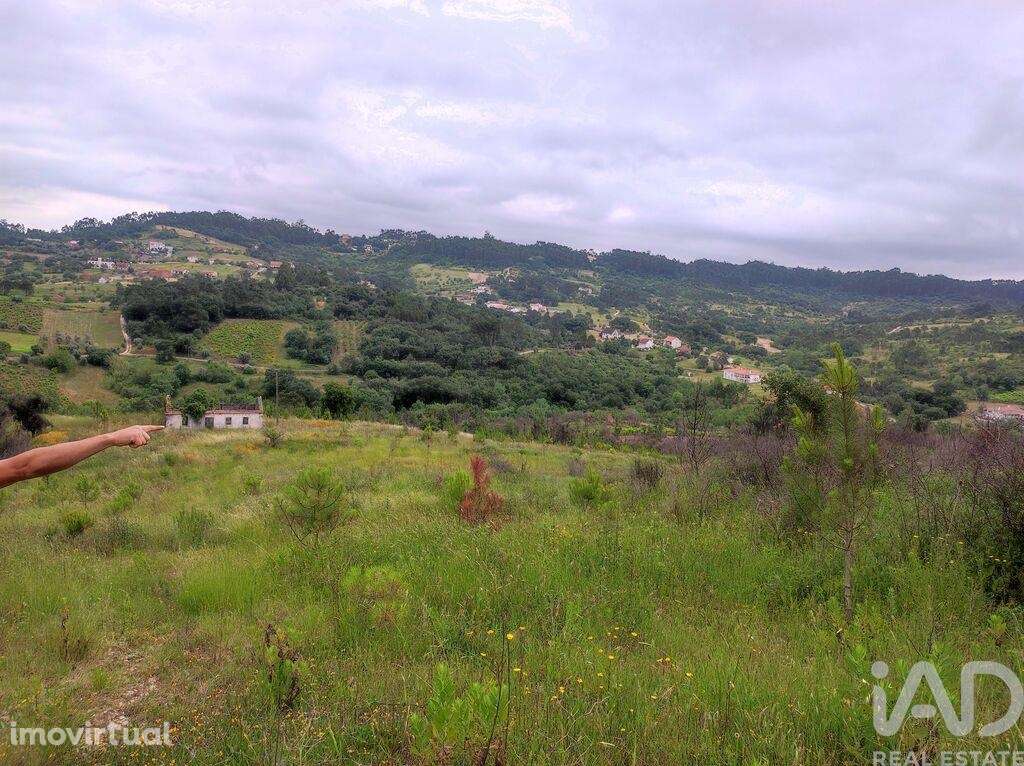 Terreno para construção em Colmeias e Memória de 116,00 m2 - Grande imagem: 5/29