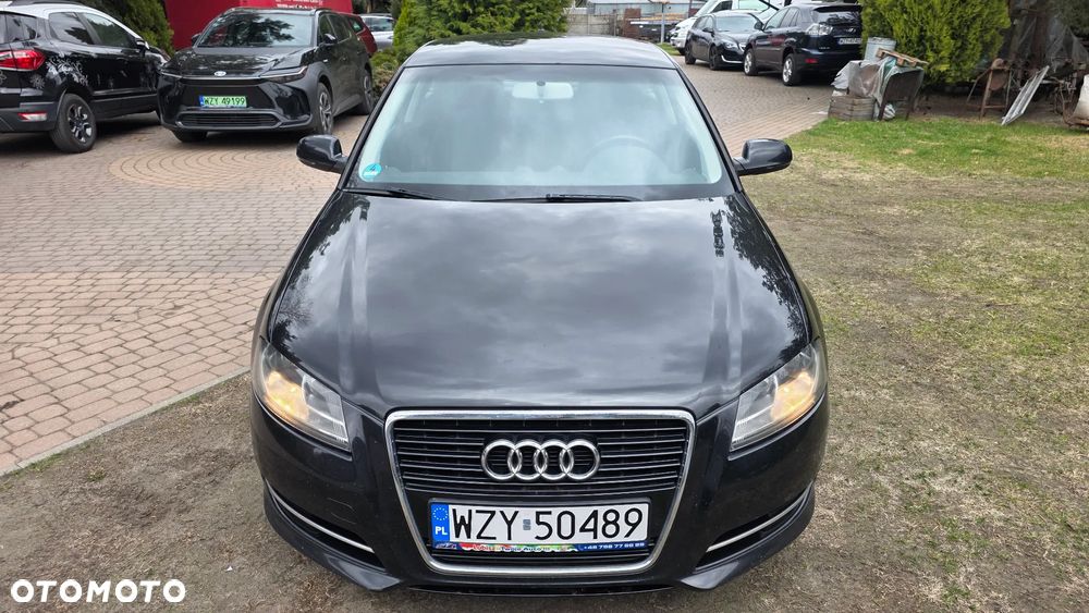 Audi A3 3-drzwiowe 1.6 TDI DPF Attraction - 11