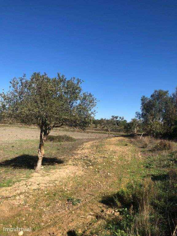Terreno Rústico 14.0 ha, Cercal do Alentejo, Santiago do Cacem - Grande imagem: 3/32
