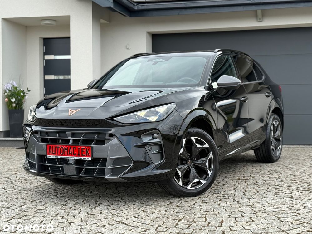 Cupra Terramar 2.0 TSI 4Drive VZ DSG - 4