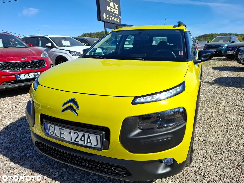 Citroën C4 Cactus - 1