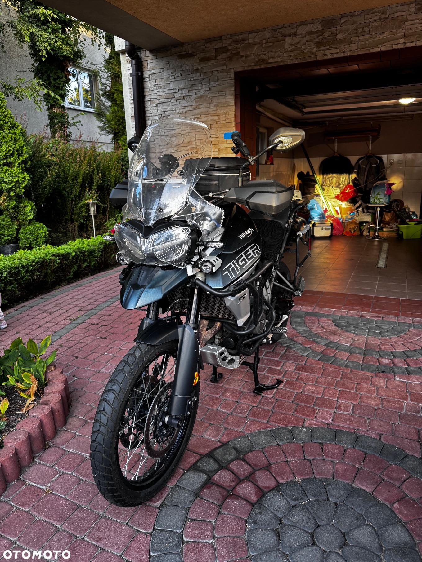 Triumph Tiger - 2