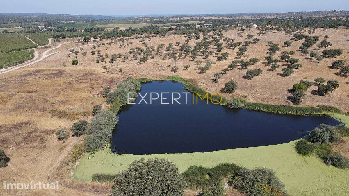 Herdade com 81,79 ha - Mora - Grande imagem: 2/11