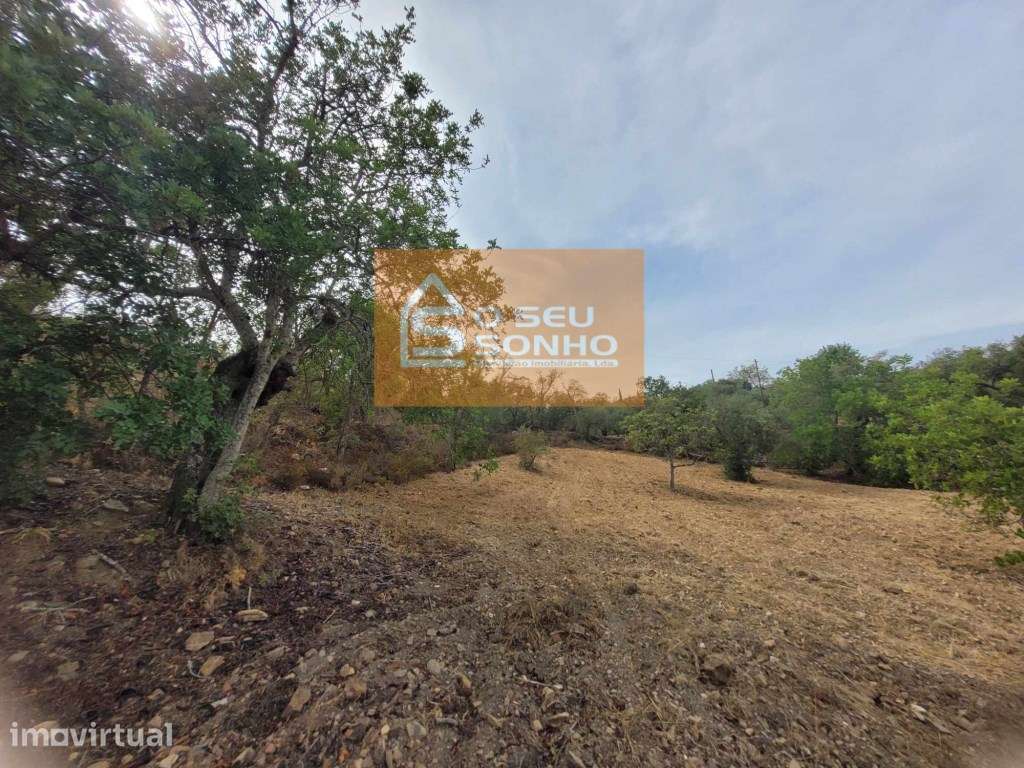 Terreno - Grande imagem: 2/6