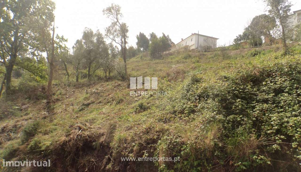 Ruína com terreno para venda, Azevedo, Caminha - Grande imagem: 2/9