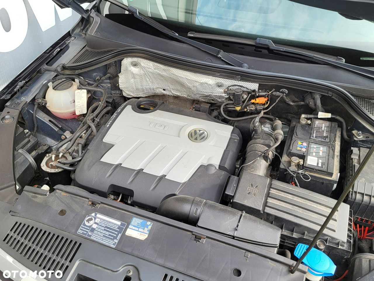 Volkswagen Tiguan - 8