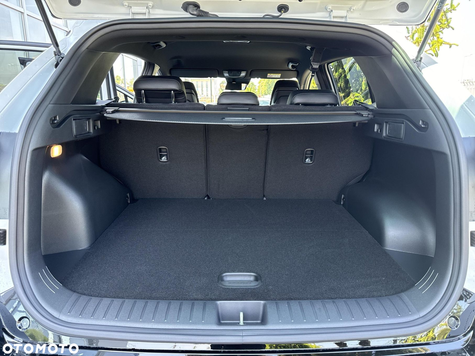 Kia Sportage - 17
