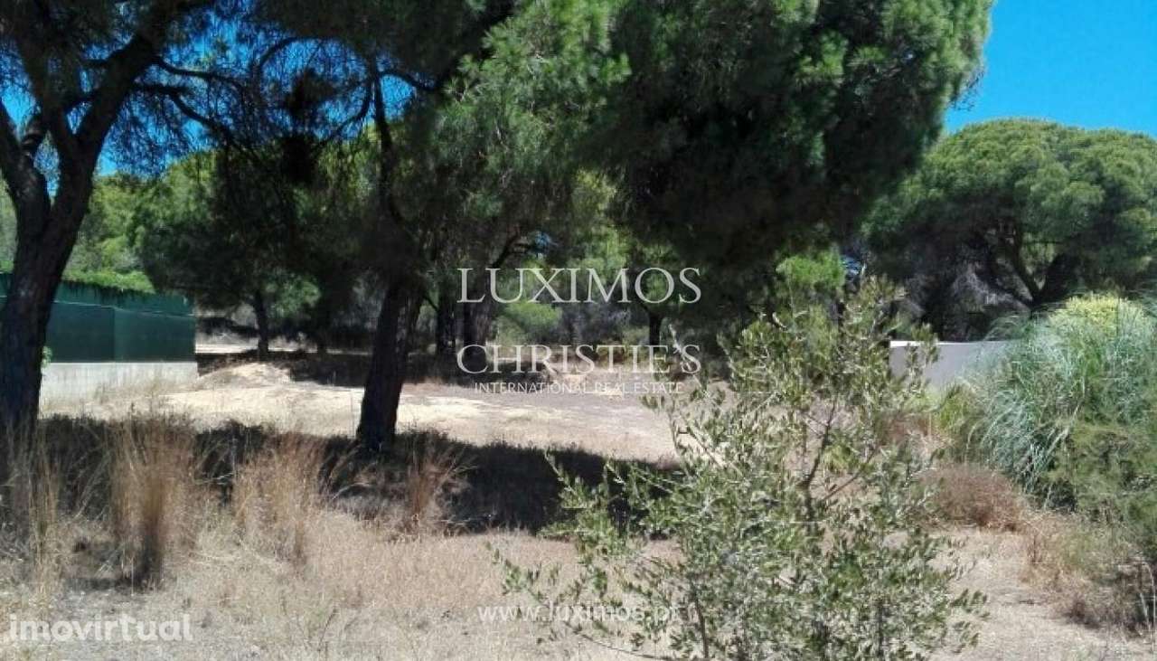 Terreno para venda perto da praia e do golfe, Ancão, Almancil, Algarv - Grande imagem: 2/2