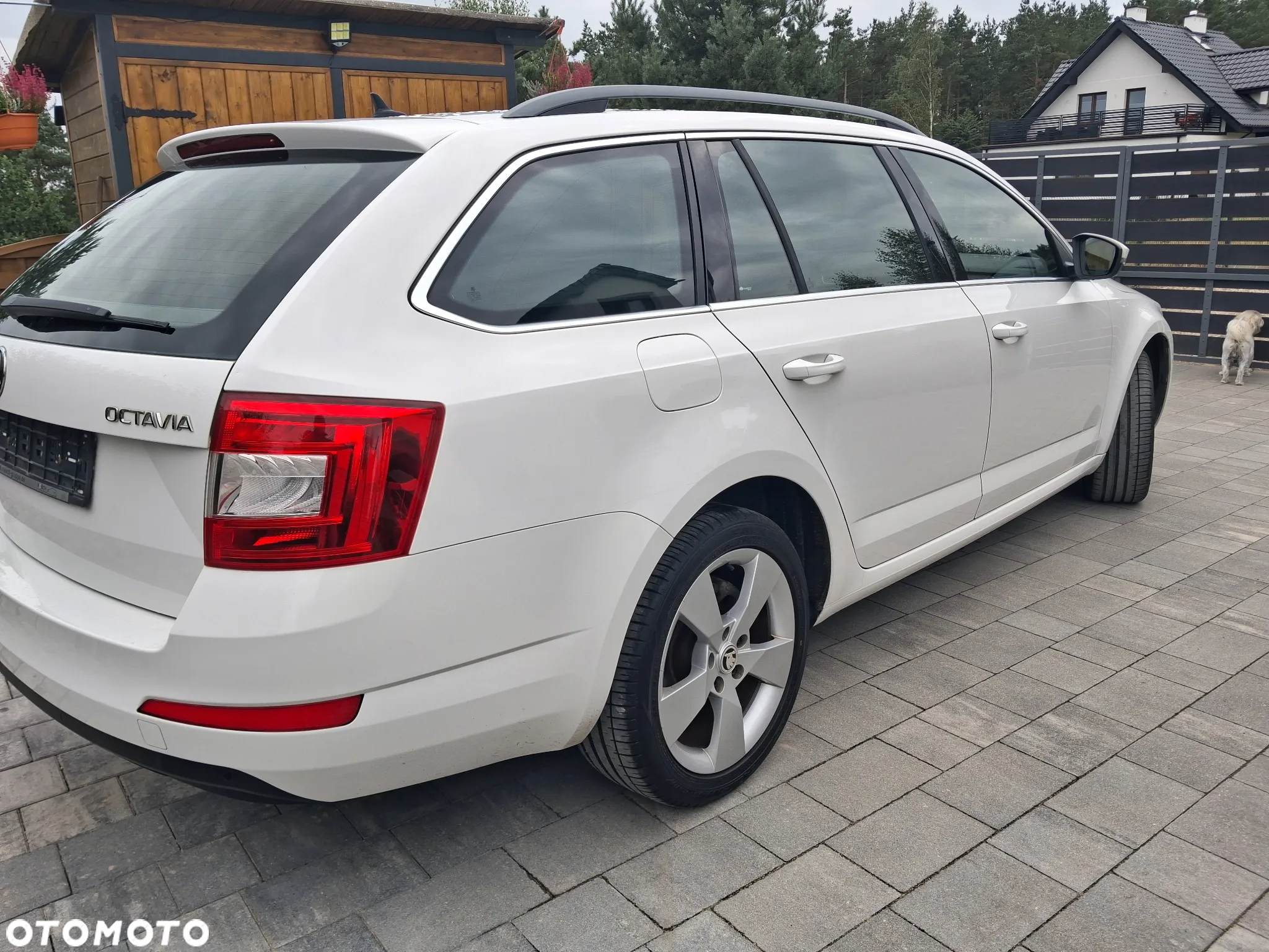 Skoda Octavia - 4