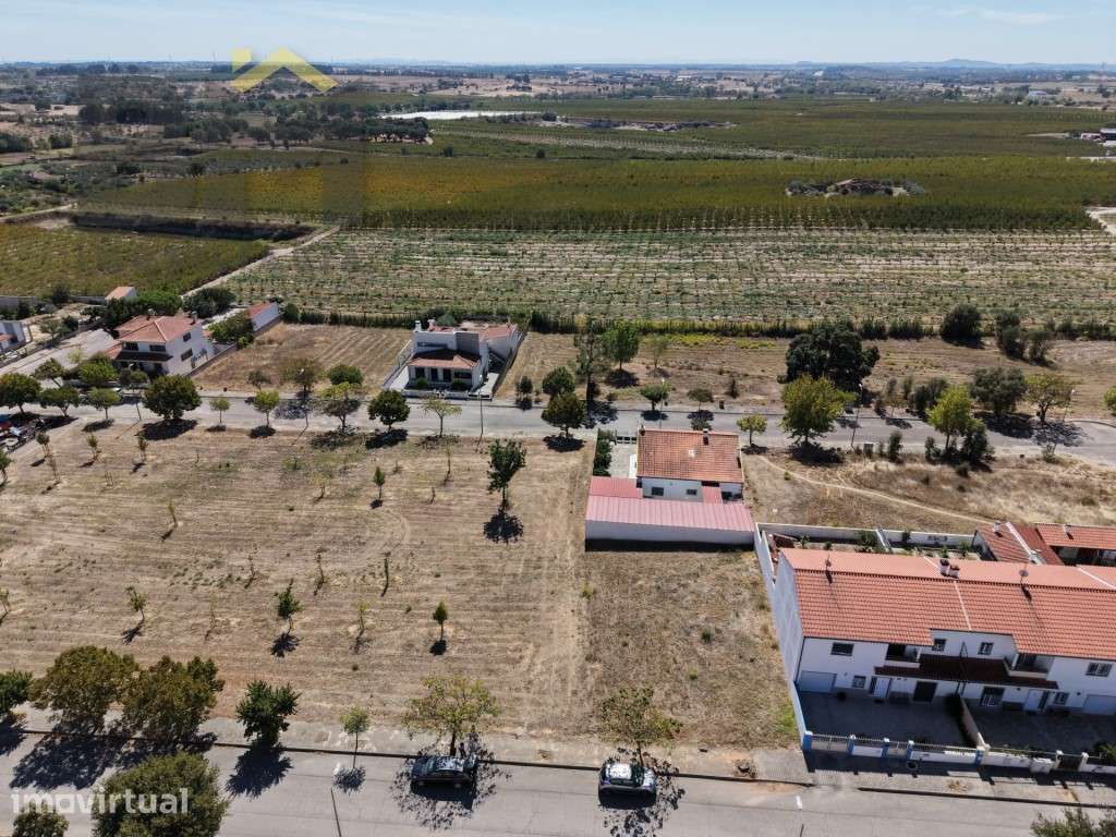 Terreno para Construção de Moradia - Lardosa - Grande imagem: 4/6