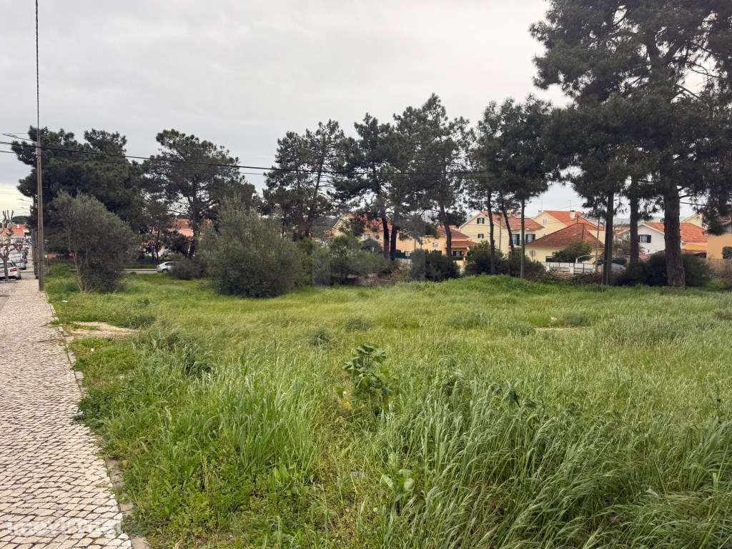 Terreno Urbano para Investimento - Excelente Oportunidade na Quinta... - Grande imagem: 2/6