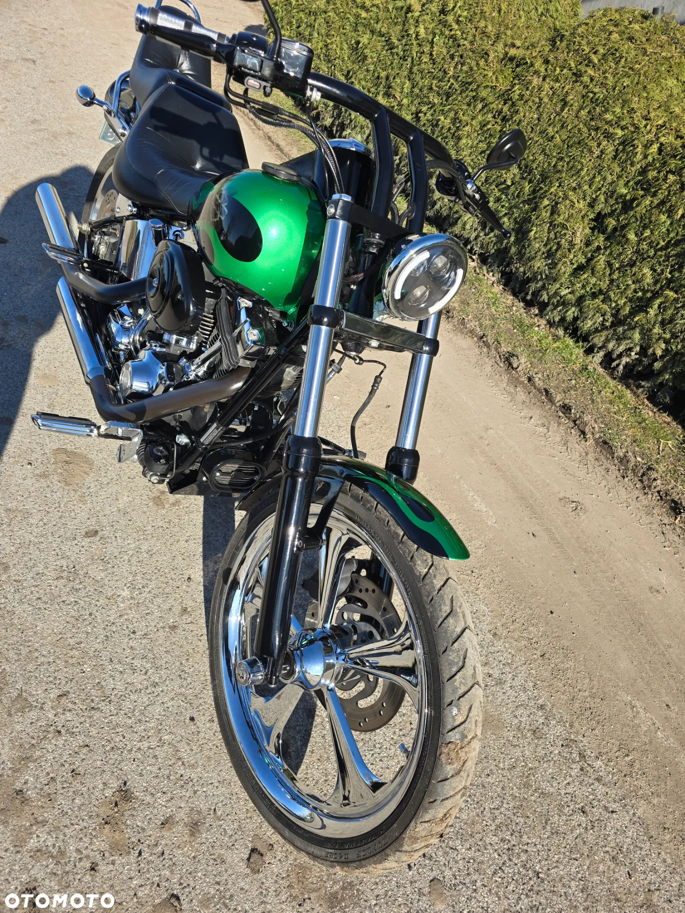 Harley-Davidson Softail Custom - 2