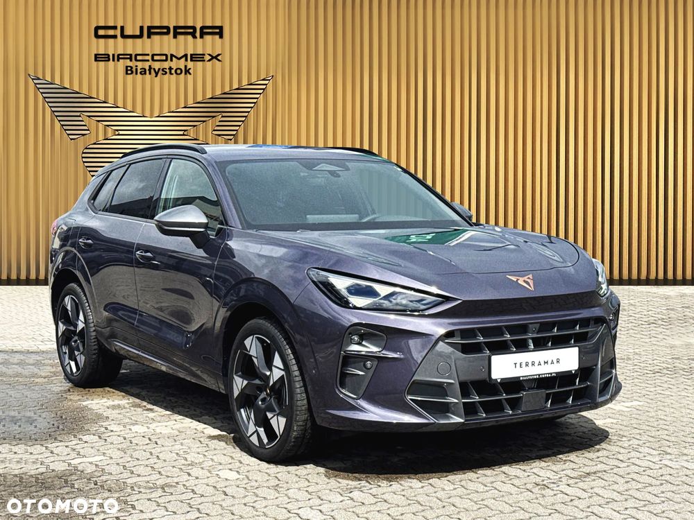Cupra Terramar 1.5 eTSI mHEV Advantage Edition DSG - 8