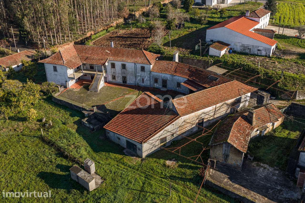 Quinta Secular em Travanca, Sta Maria da Feira