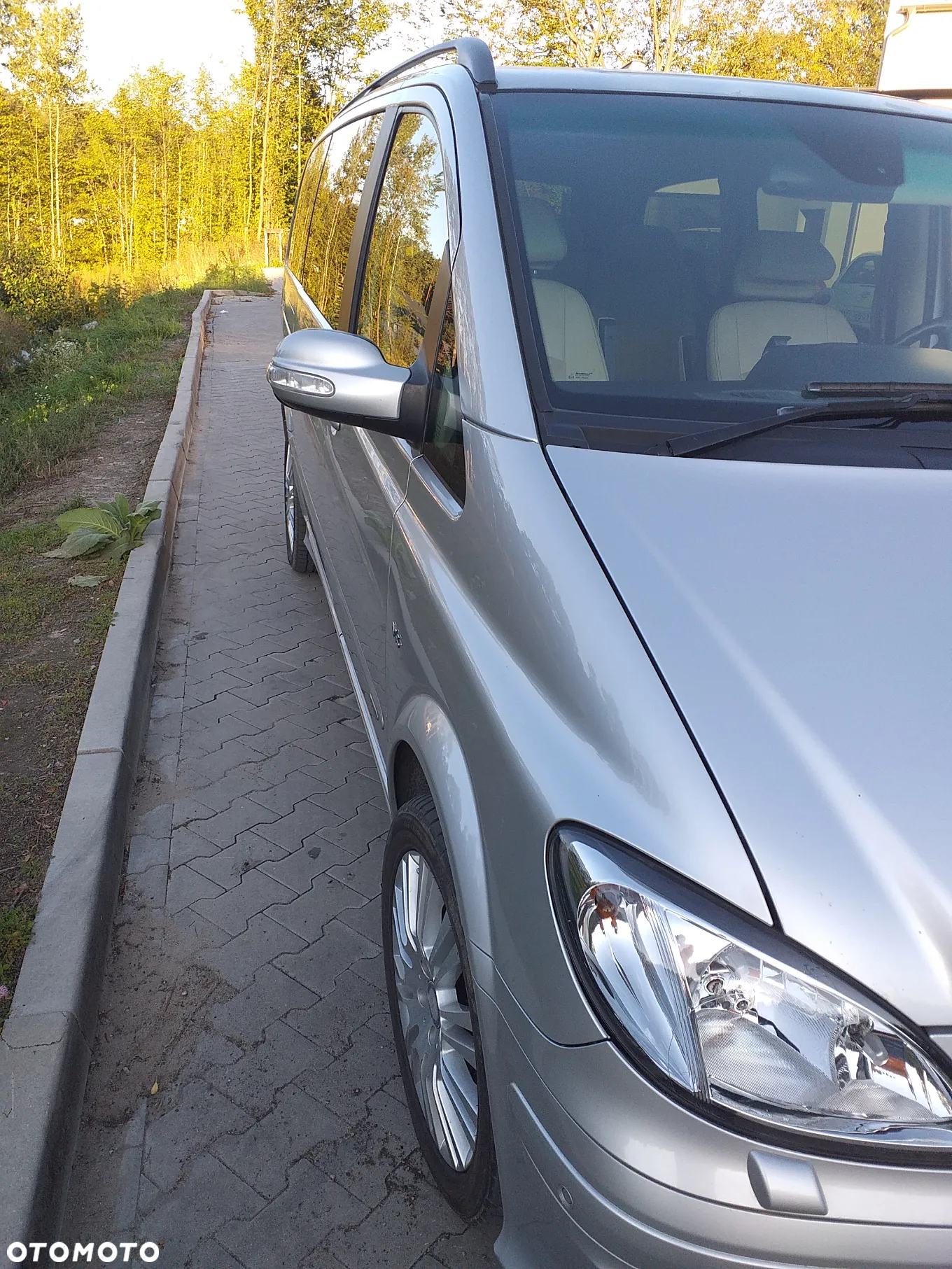 Mercedes-Benz Viano - 18
