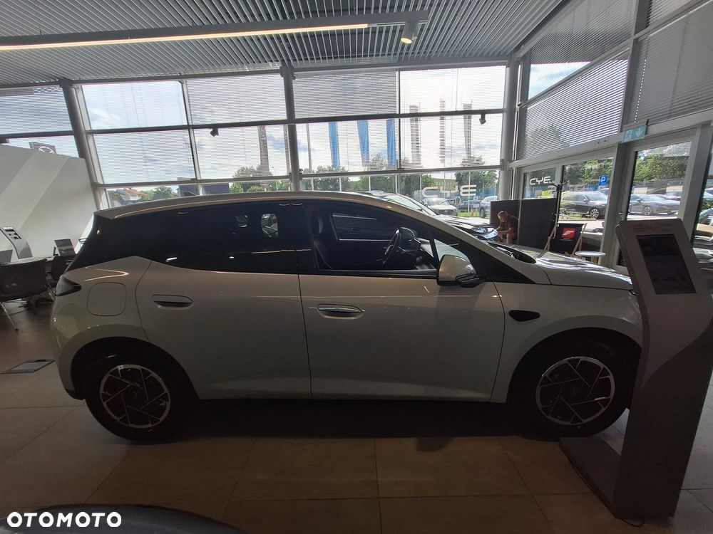BYD Inny - 6