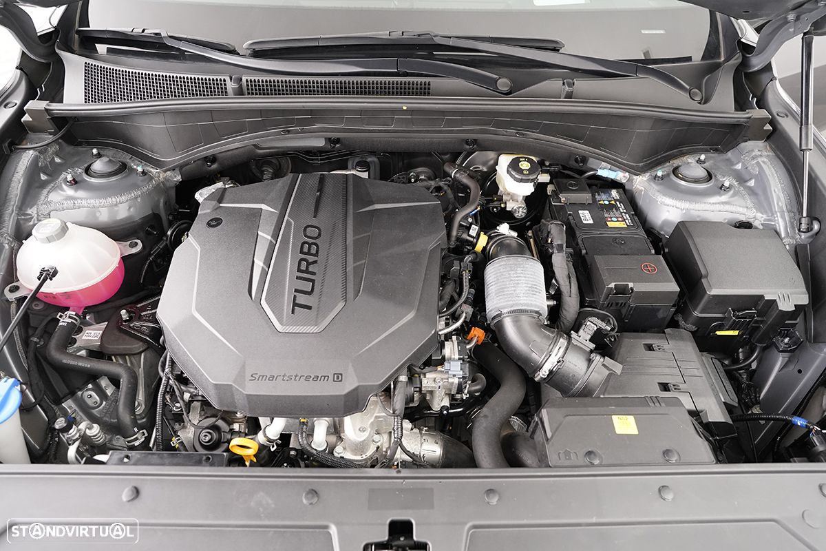Hyundai Santa Fe 2.2 CRDi Vanguard - 30