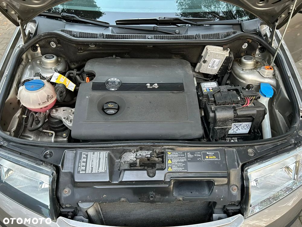 Skoda Fabia - 15