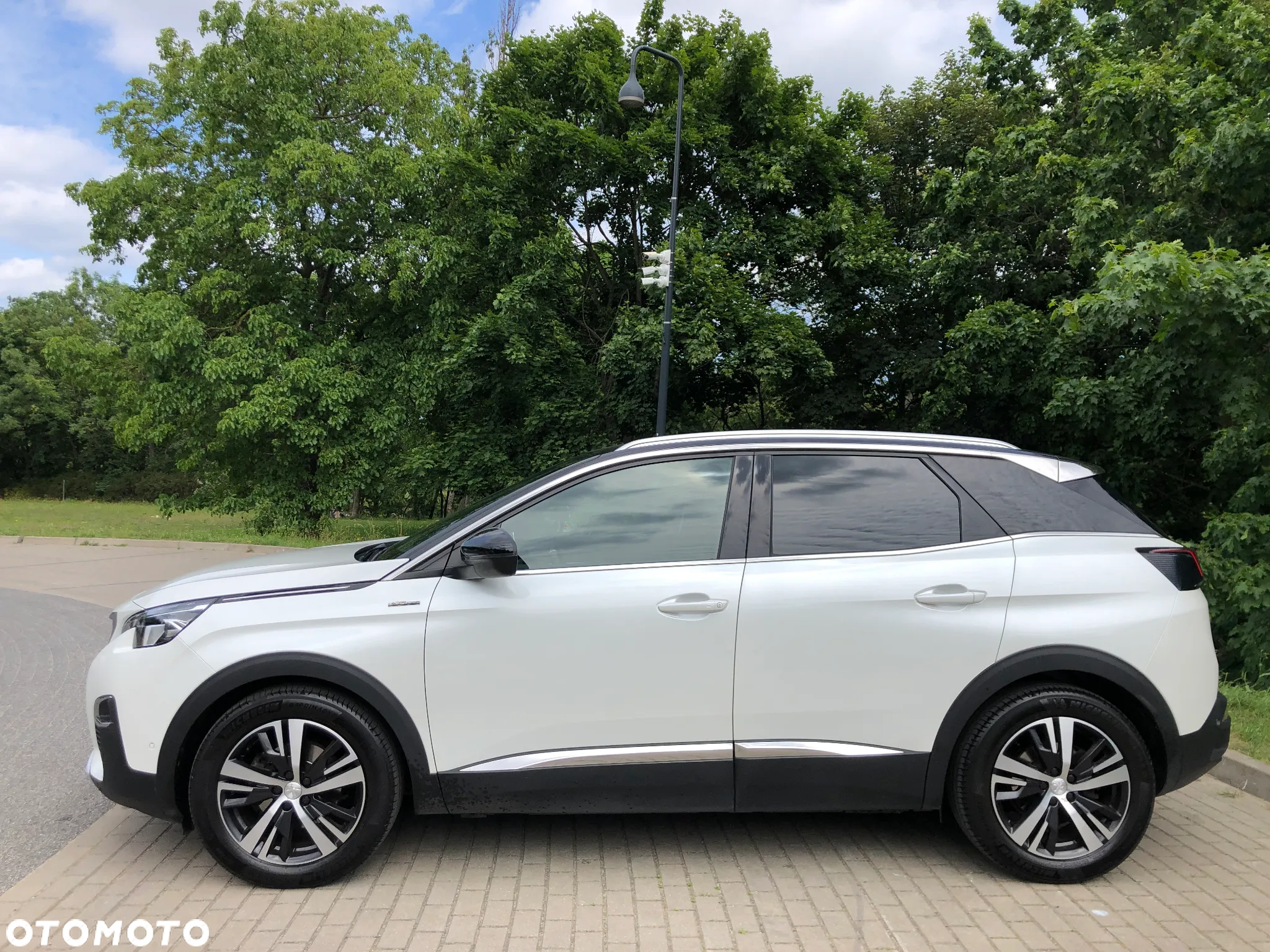 Peugeot 3008 1.5 BlueHDi GT S&S EAT8 - 3