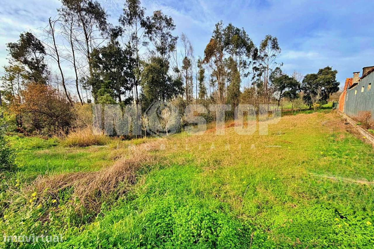 Terreno para construção entre Albergaria-a-Velha e Aveiro - Grande imagem: 2/9
