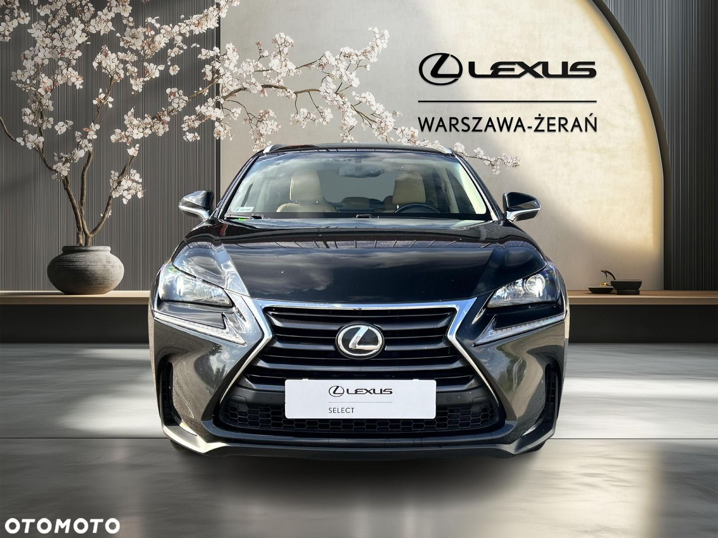 Lexus NX 200t Comfort AWD - 10