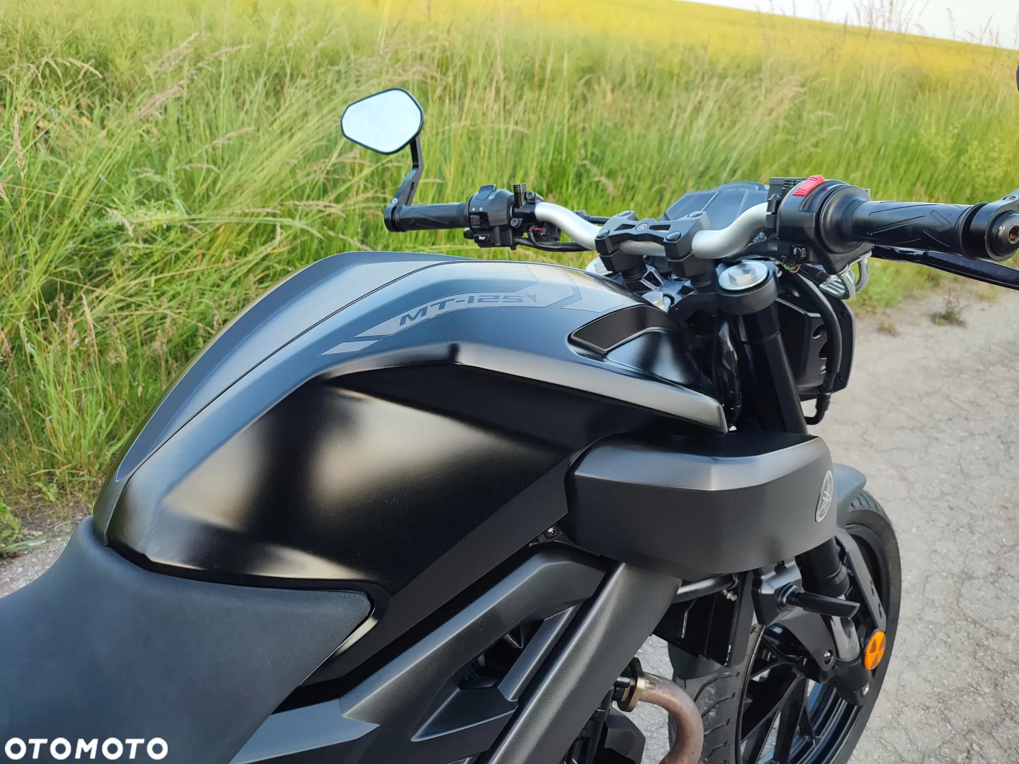 Yamaha MT - 3