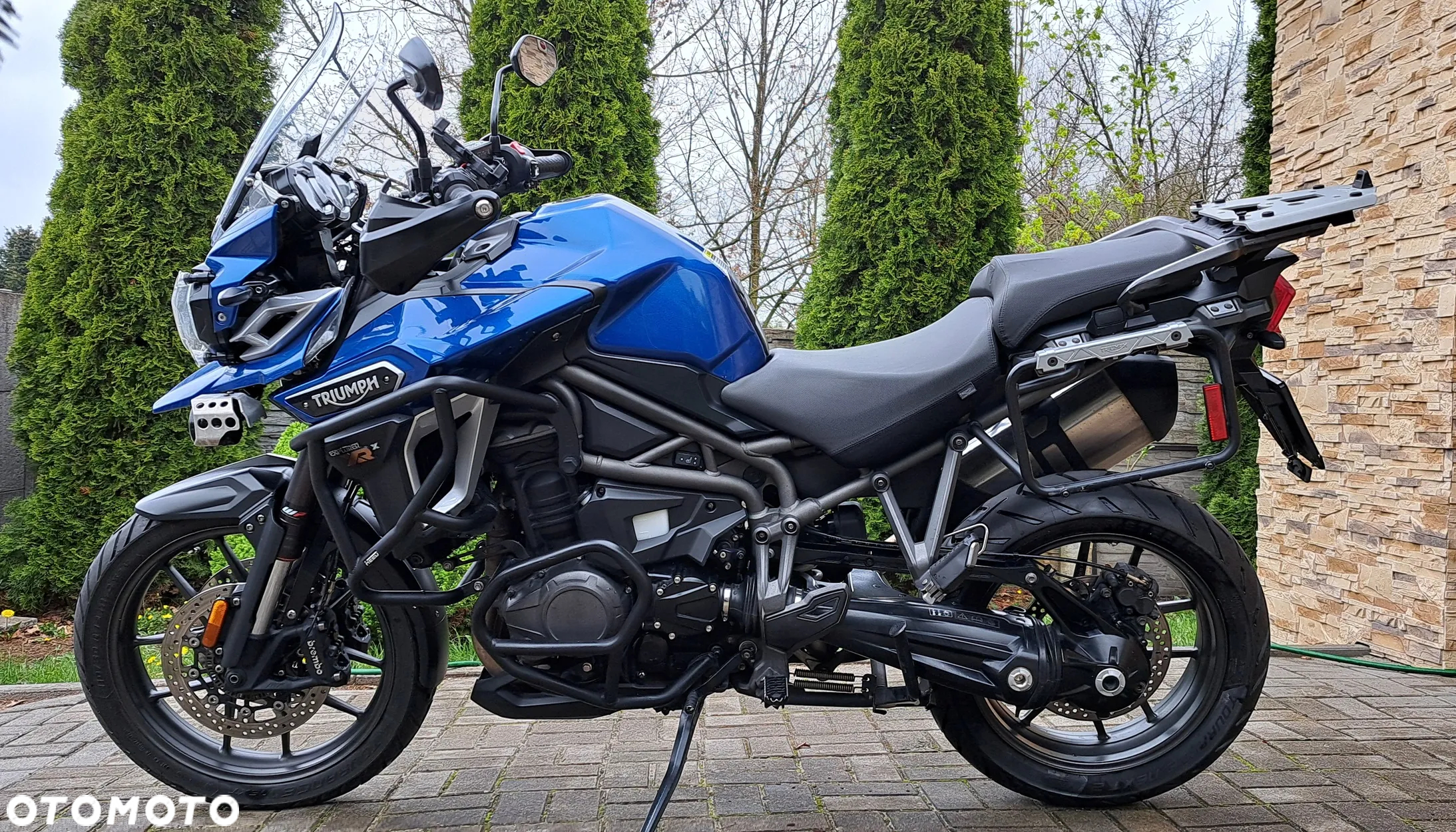 Triumph Tiger - 4