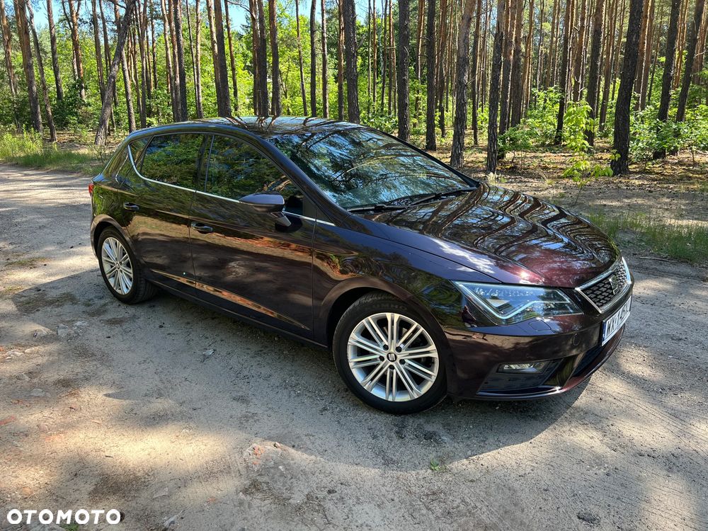 Seat Leon 1.5 EcoTSI Evo Xcellence S&S - 13
