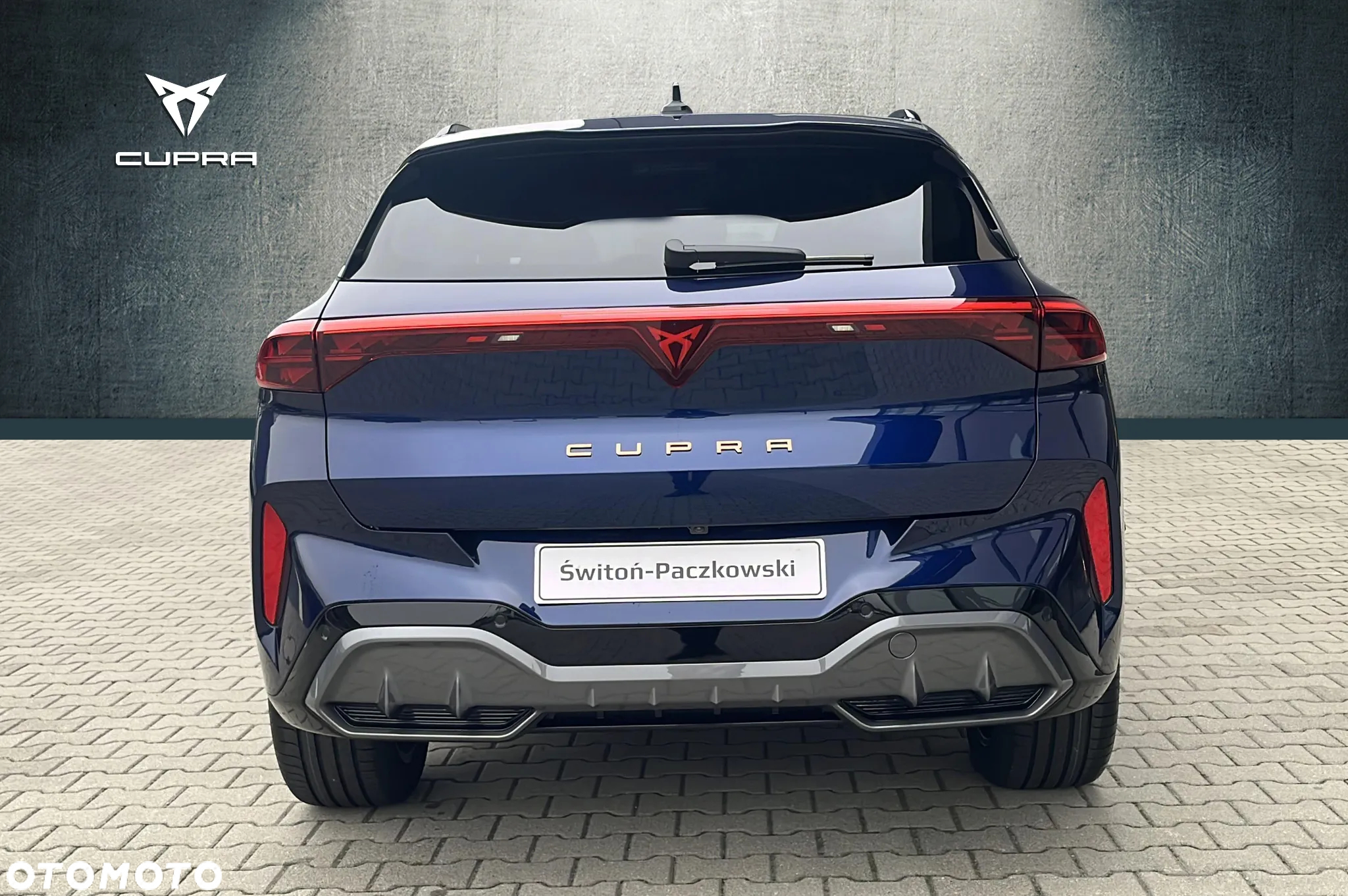 Cupra Terramar 2.0 TSI 4Drive DSG - 4