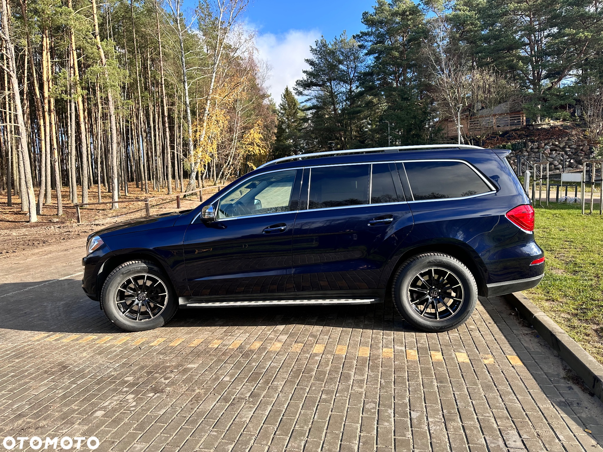 Mercedes-Benz GL 350 BlueTEC 4Matic 7G-TRONIC - 25