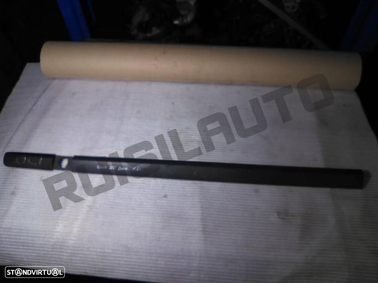 Friso Porta Frente Esquerda  Renault Clio Iii [2005_2014] 1.5 D - 1
