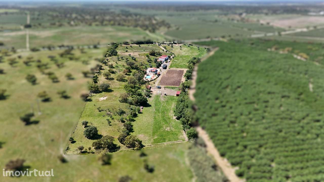 Monte Alentejano | 80.300m2 | Moradia com piscina e armazéns - Grande imagem: 2/31