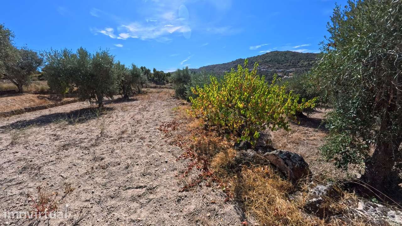 Quinta em Fornos de Algodres - Grande imagem: 4/16