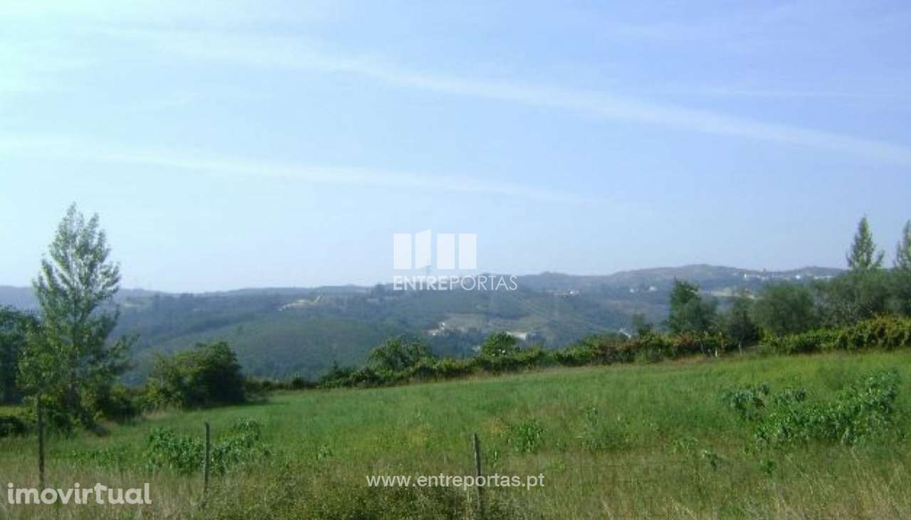 Venda Terreno com área de 9800 m2, Gove, Baião - Grande imagem: 5/10