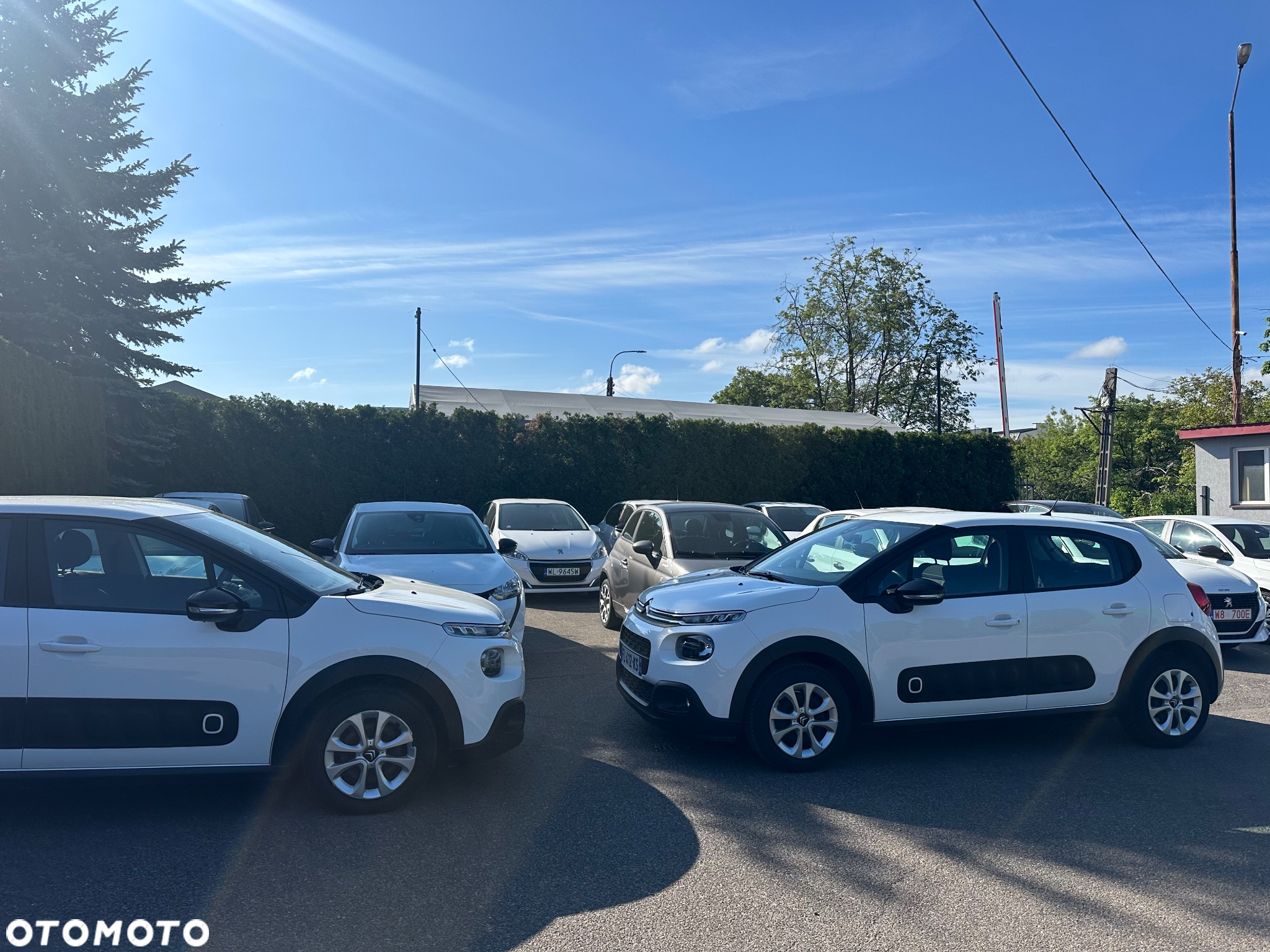 Citroën C3 1.2 PureTech Feel - 16