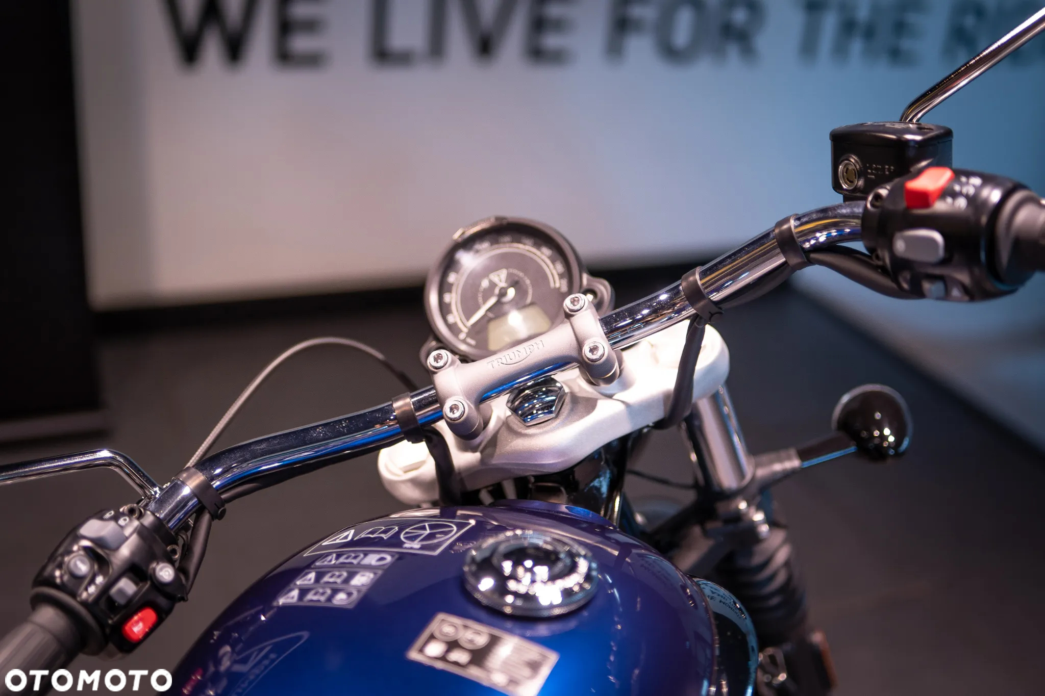 Triumph Speedmaster - 7