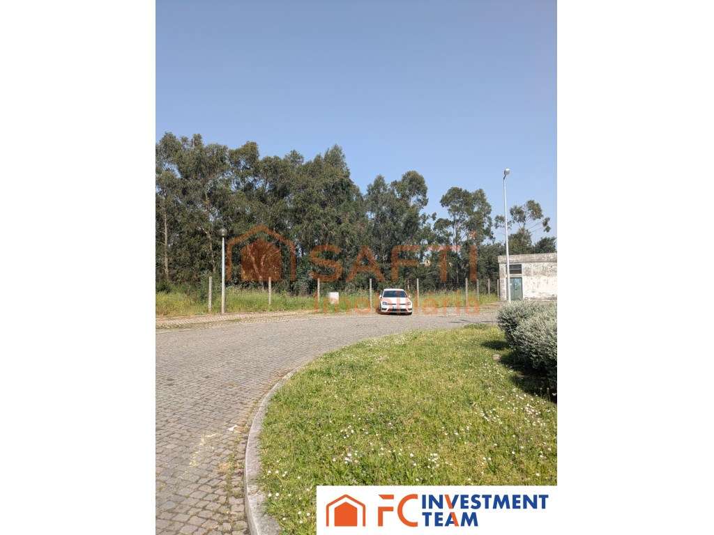 S. João Premium Loja - Grande imagem: 3/9