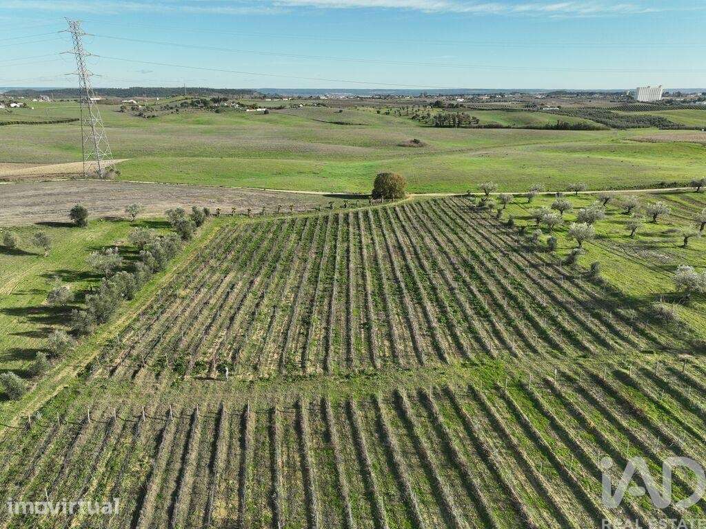 Quinta agricola em São Vicente do Paul e Vale de Figueira de 72760 m2 - Grande imagem: 3/40