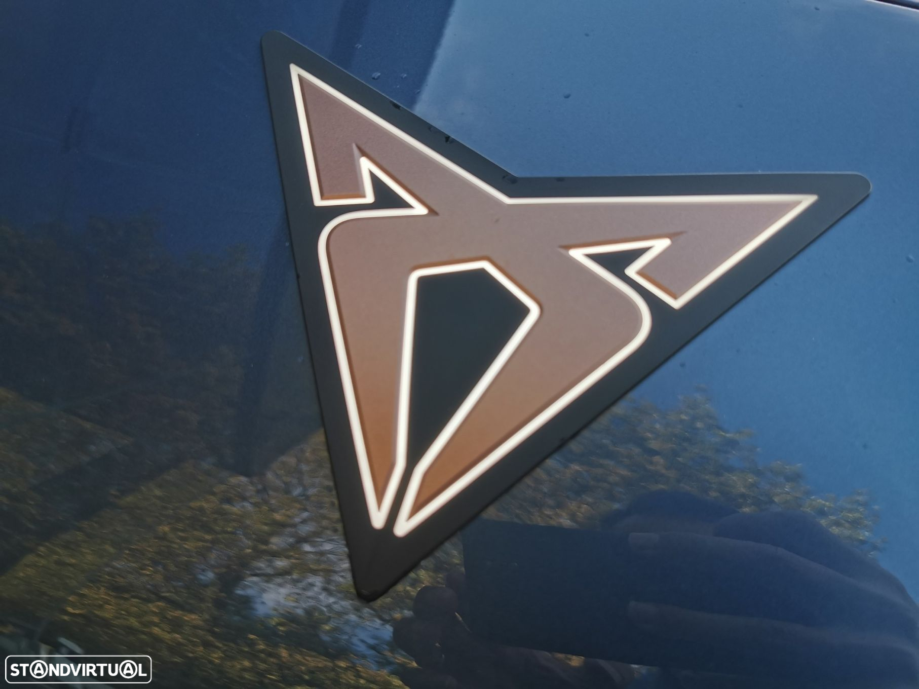 Cupra Tavascan - 14