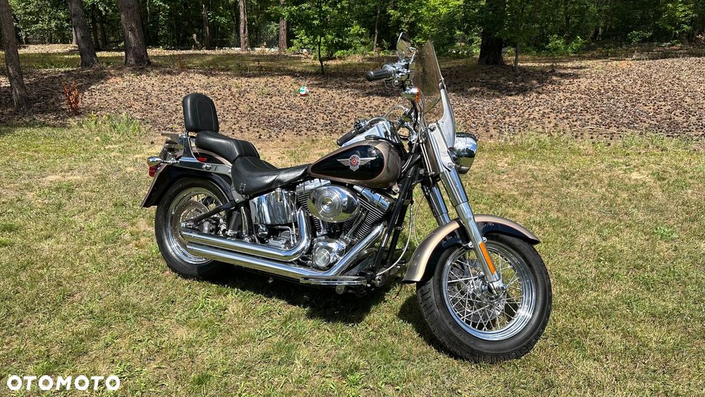 Harley-Davidson Softail Fat Boy - 1
