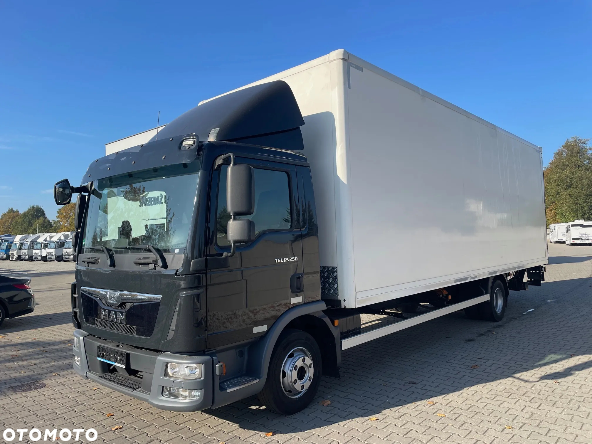 MAN TGL 12.250 - 2