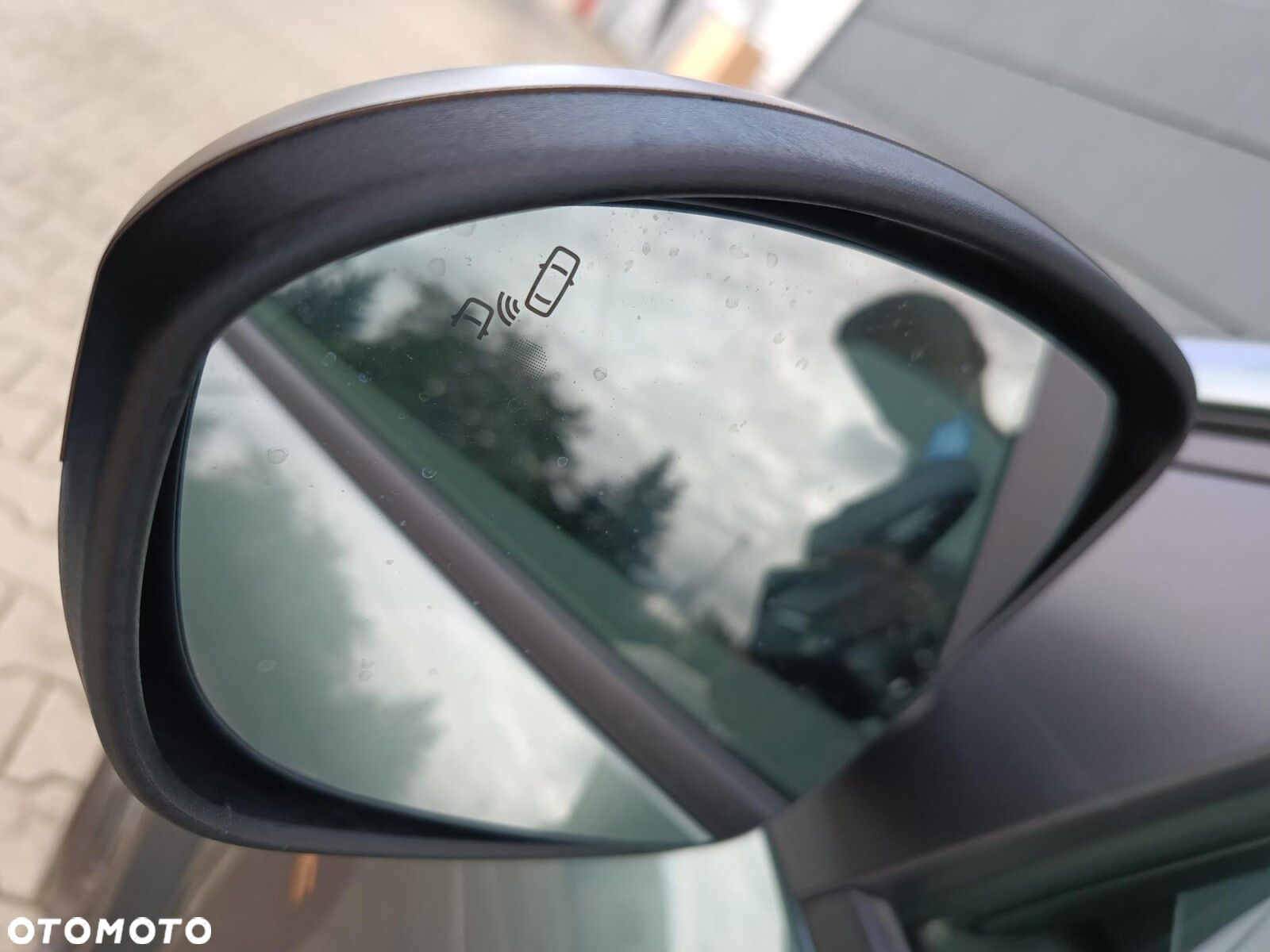 Dacia Sandero Stepway - 14