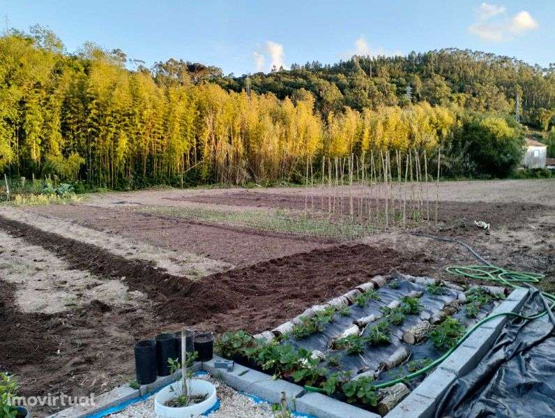 Terreno rústico próximo da cidade - Grande imagem: 5/10