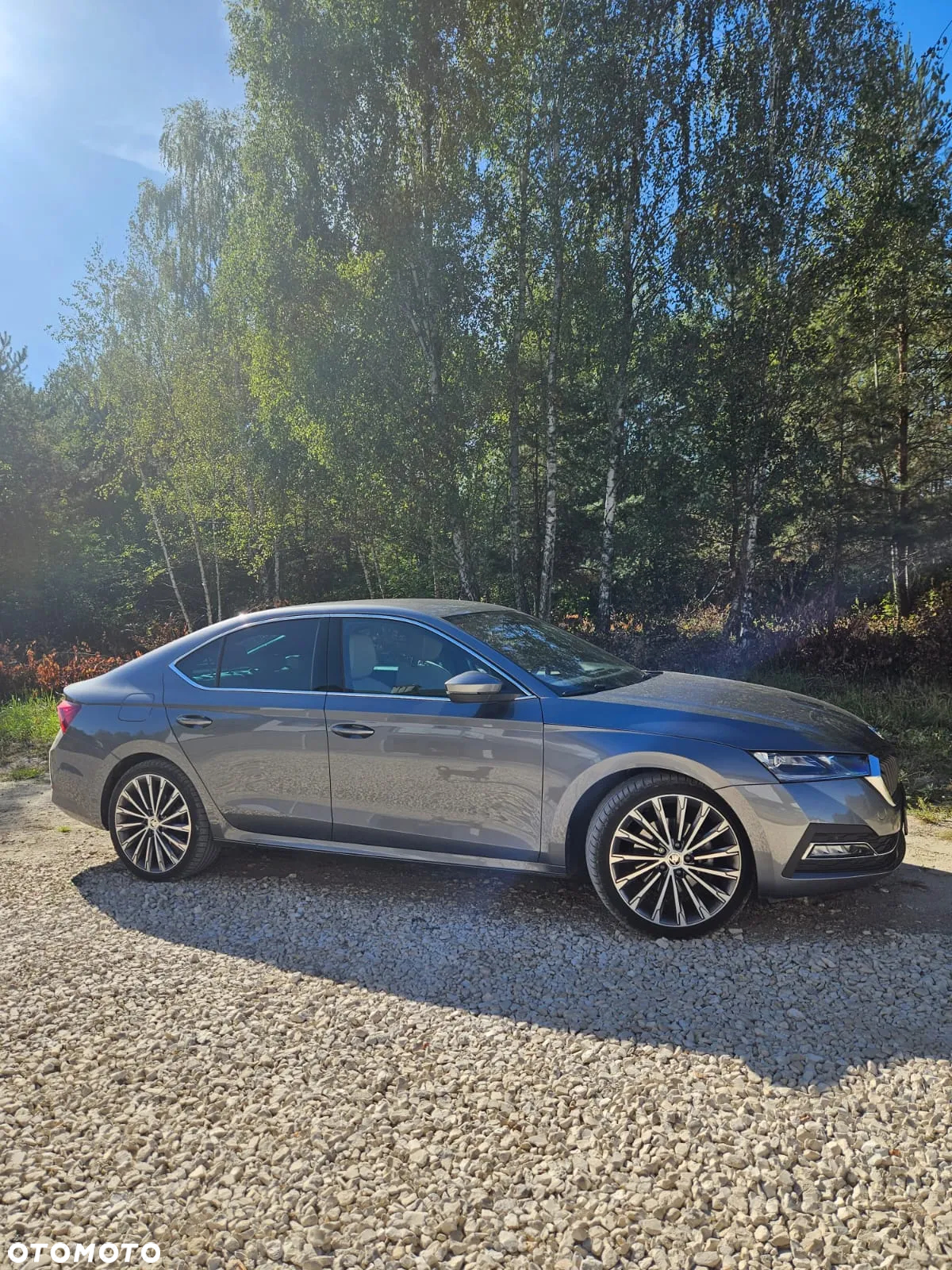 Skoda Octavia 2.0 TSI 4x4 Style DSG - 8