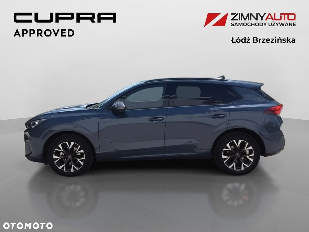 Cupra Terramar 1.5 eTSI mHEV DSG - 13