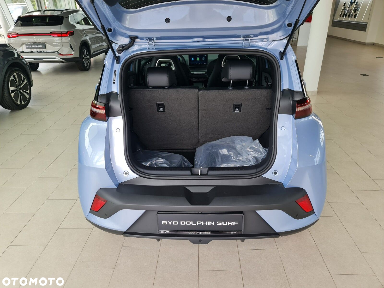 BYD Dolphin Surf - 23